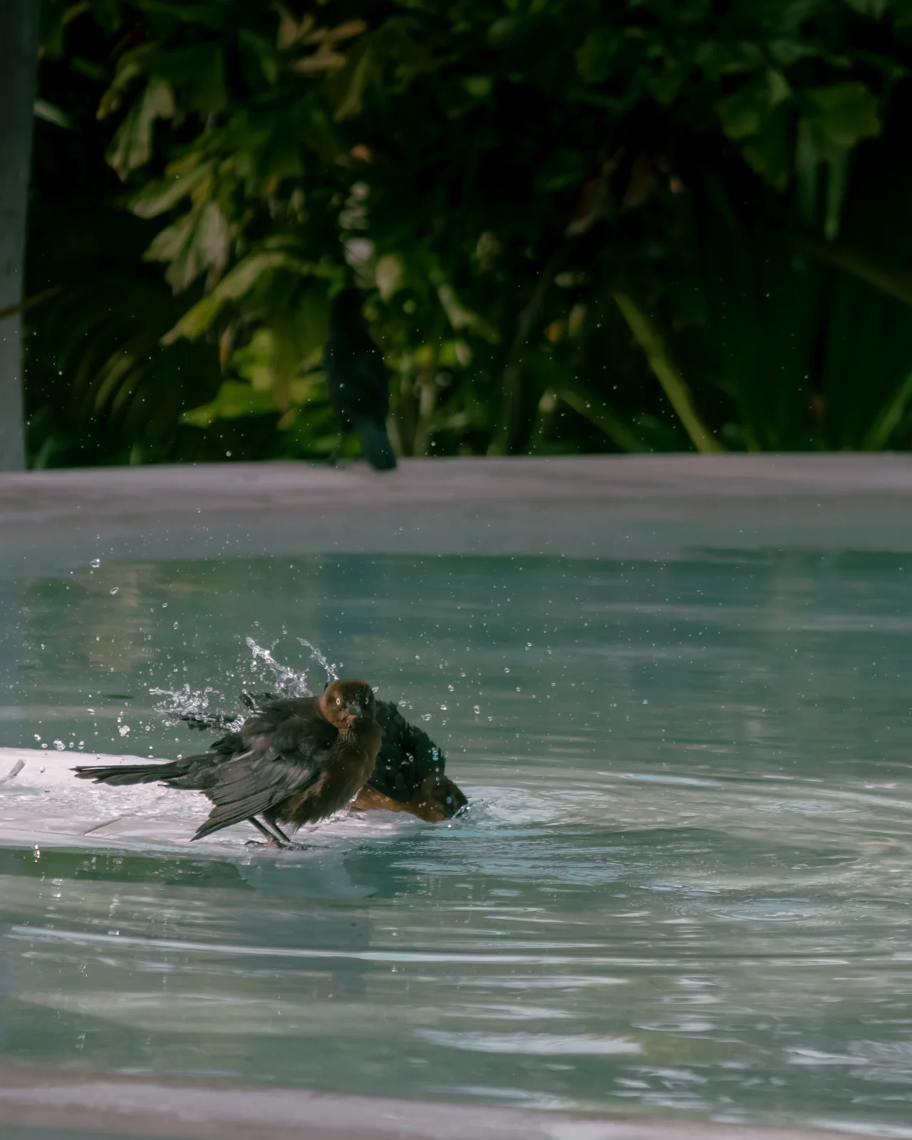 nature photography by JRMGraphy